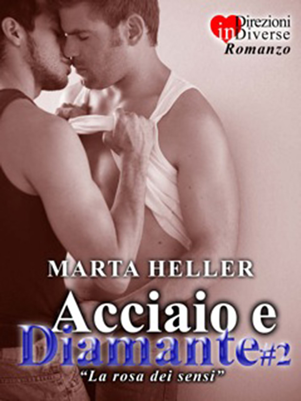 Copertina Acciaio e Diamante 2