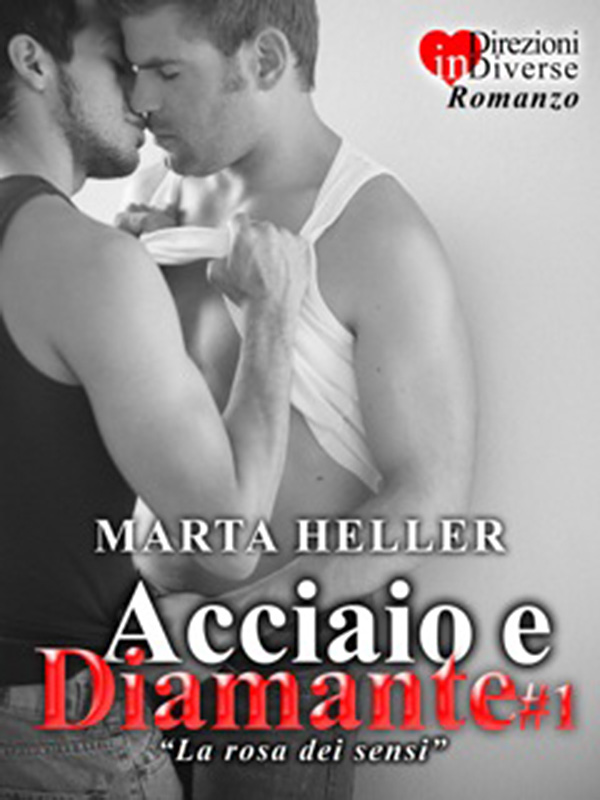 copertina Acciaio e Diamante 1