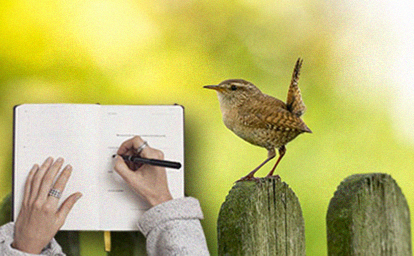 Scrivere ai tempi del Coronavirus: poesia da camera #2